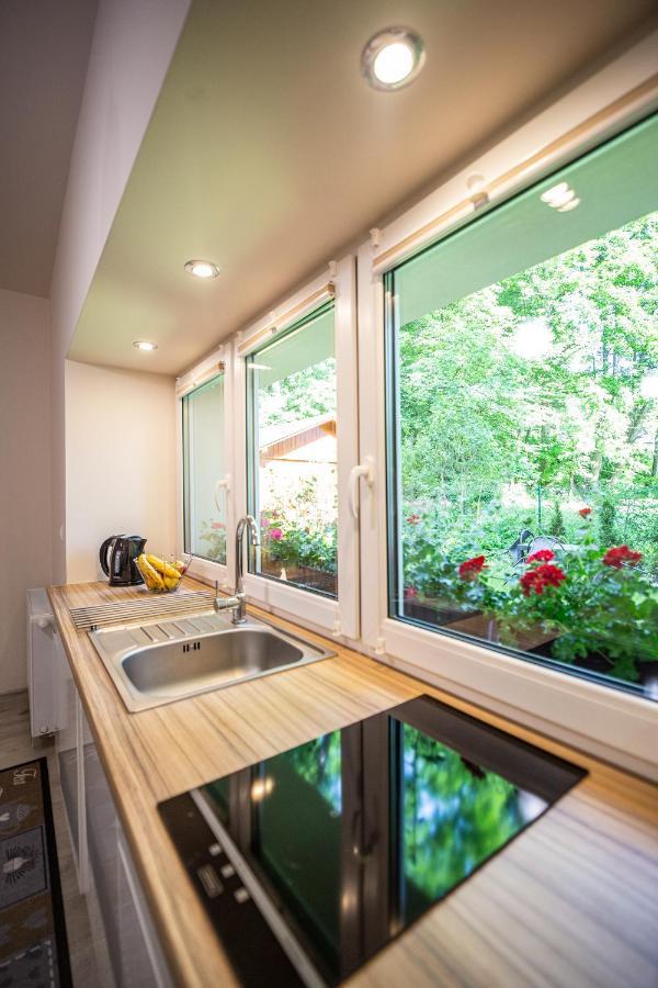 Przy Parku Apartment Duszniki Zdroj
